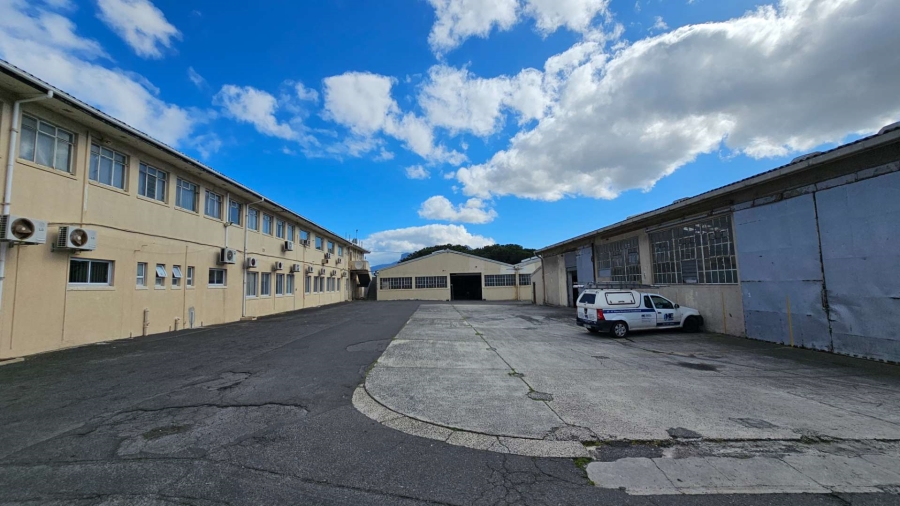 To Let commercial Property for Rent in Epping Industrial Western Cape